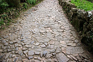 Stone pathway