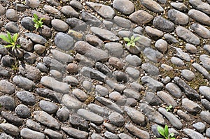 Stone Pathway