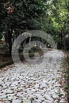 Stone pathway at the city park