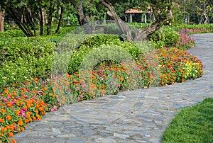 Stone pathway in colorful flower garden