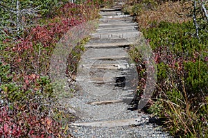 Stone pathway in the countryside