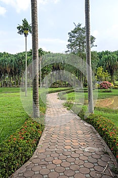 Stone pathway into green garden during day time