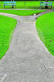 Stone Pathway in Green Park