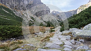 Kamenná cesta vedoucí krásným alpským údolím obklopeným horami, Slovensko, Evropa