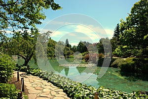 Stone pathway in lucious garden