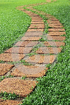 Stone Pathway in a Lush Green Park