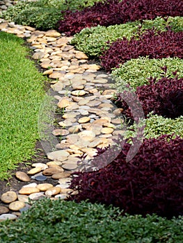 Stone pathway passing in garden