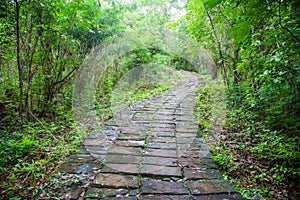 Stone pathway passing thru the Waterfall