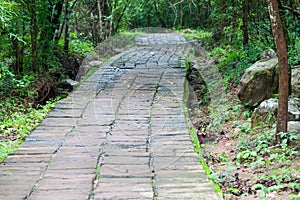 Stone pathway passing thru the Waterfall