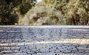 Stone paved footpath, cobblestone pathway closeup view, Blur nature background photo