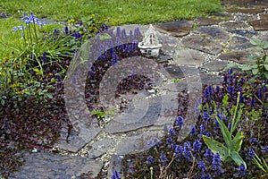 stone paved garden path and flowers