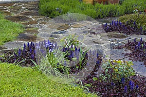 stone paved garden path and flowers