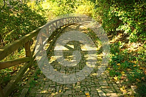 Stone paved path in the autumn forest