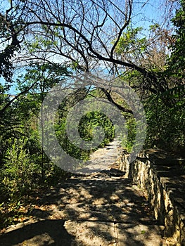 a stone-paved path among the trees in the city park. Bulgaria. Balchik.