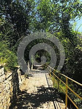 a stone-paved path among the trees in the city park. Bulgaria. Balchik.