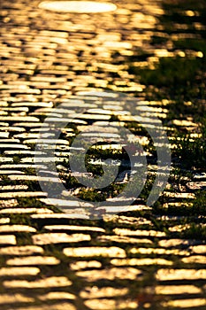 Stone pavement close-up with the sun glinting during sunset.