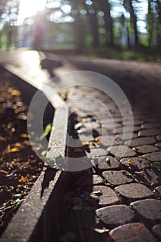 Stone pavement with curb and leaves
