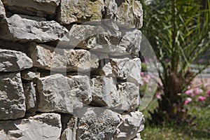 Stone pavement in garden