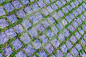 Stone pavement with grass texture