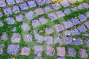 Stone pavement with grass texture