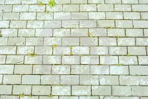 Stone pavement with grass texture. Top view on cobblestone street