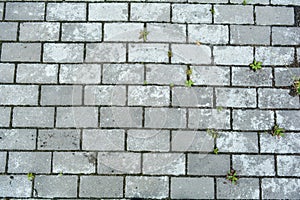 Stone pavement with grass texture. Top view on cobblestone street