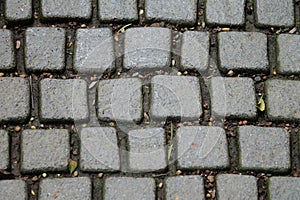Stone pavement texture background