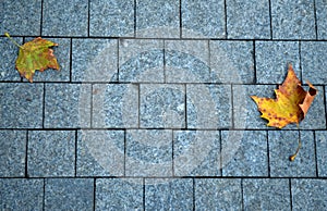 Stone pavement texture background