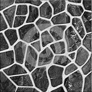 Stone Pavement Texture