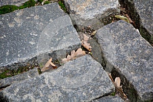 Stone pavement texture. Granite cobblestoned pavement background.  Cobbled stone road regular shapes, abstract background of old c