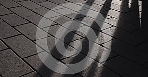 Stone Pavement Walking People Shadows