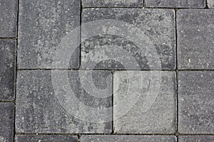Stone Paver Pattern photo