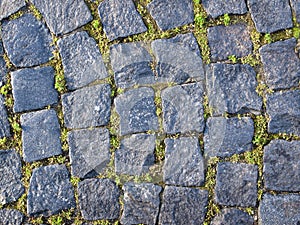 Stone paving texture. Abstract structured background