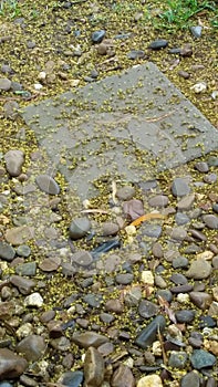 Stone Pebbles on pavement