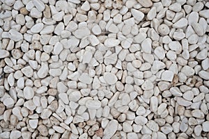 Stone pebbles - white and gray gravel texture background for decoration