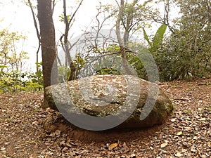 Stone in Penhasco Dois Irmaos Park Rio de Janeiro Brazil. photo