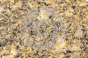 Stone with phenocrysts