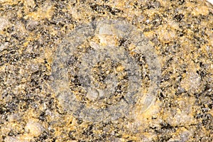 Stone with phenocrysts photo