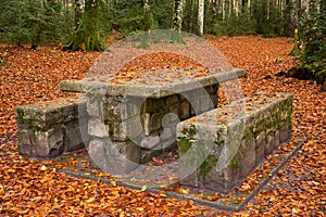 Stone picnic table covered in dry autumn leaves