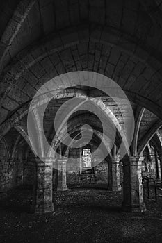 Darkened Dungeon with Pillars And Arches photo