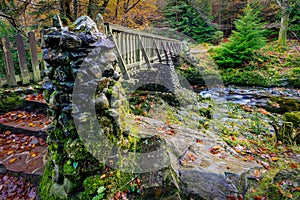 Stone pillars of old wooden bridge with mossy rocks in Tollymore Forest Park