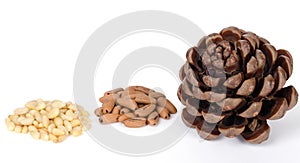 Stone pine cone with seeds and shelled nuts