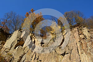 Stone-pit in the autumn