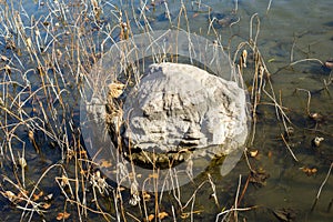 The stone in the pond