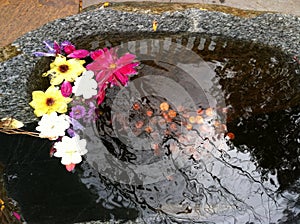 Stone pool with flowers and pennies