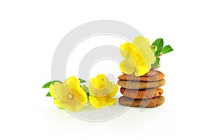 Stone pyramid and yellow flowers