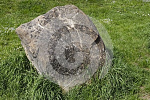 A stone or rather a boulder on the grass