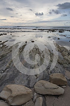 Stone and Reef at Beach