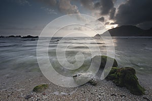 Stone and Reef at Beach