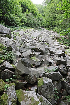 Stone river called also stone run, stone stream or stone sea  on mountain Vitosha, near upper Alekoâ€™s waterfalls